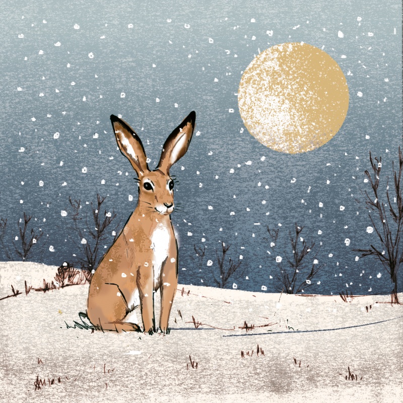 Moonlit Hare - 10 Pack